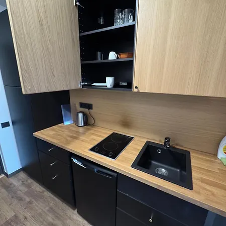 Appartamento In Kaunas