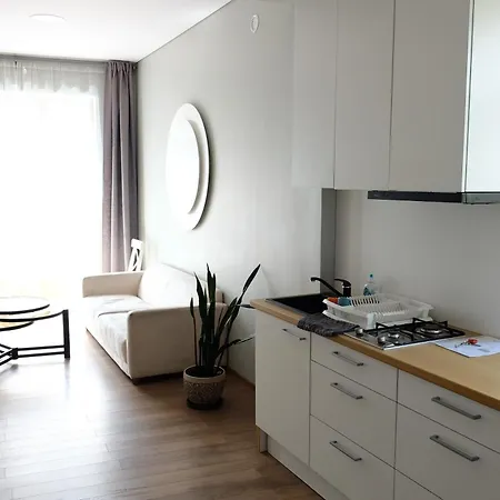 Appartamento In Kaunas